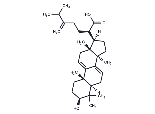 TargetMol Chemical Structure Dehydrotrametenolic acid