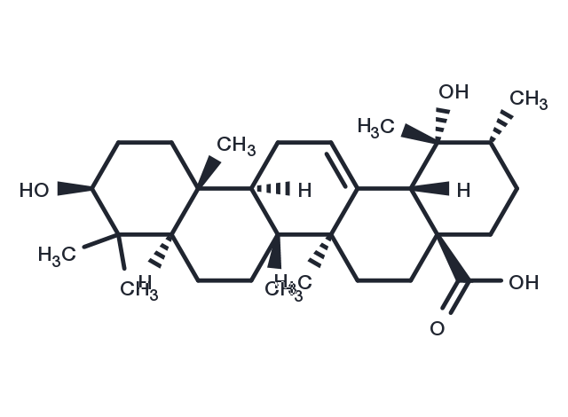 TargetMol Chemical Structure Pomolic acid