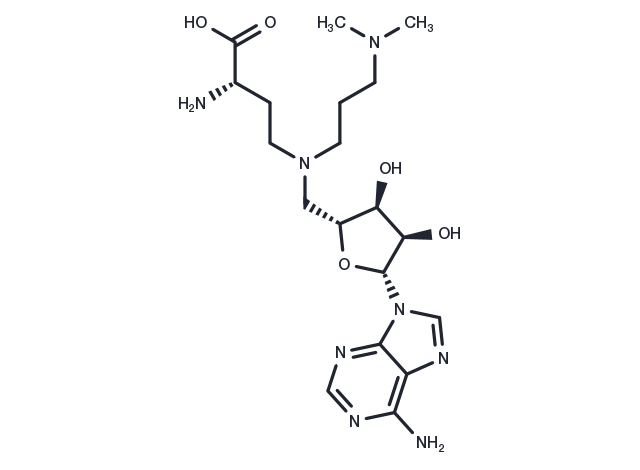 GSK-2807 free base Chemical Structure