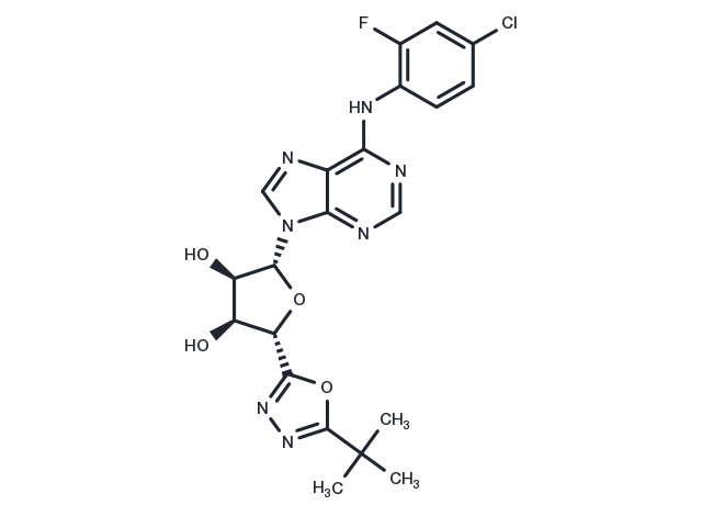TargetMol Chemical Structure GW-493838