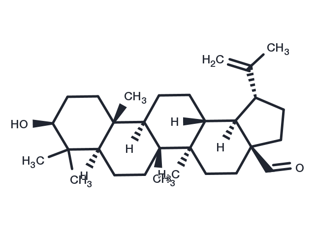TargetMol Chemical Structure Betulinaldehyde