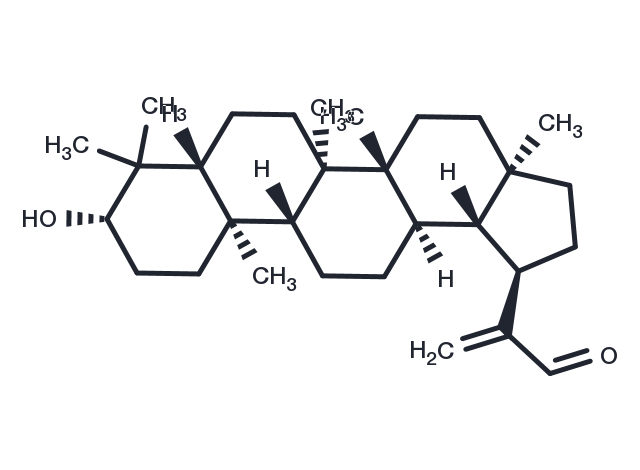 TargetMol Chemical Structure 30-Oxolupeol