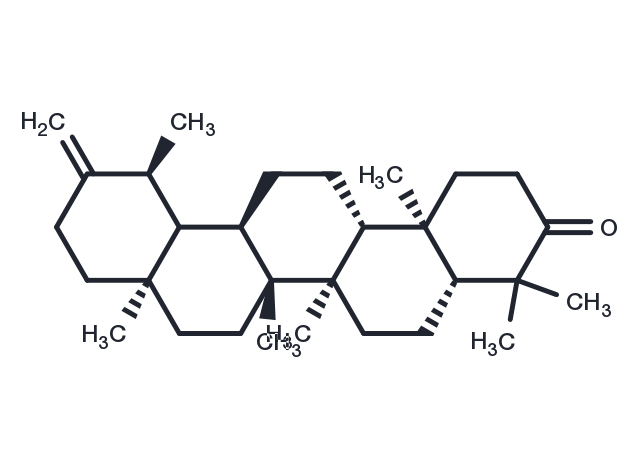 TargetMol Chemical Structure Taraxasterone