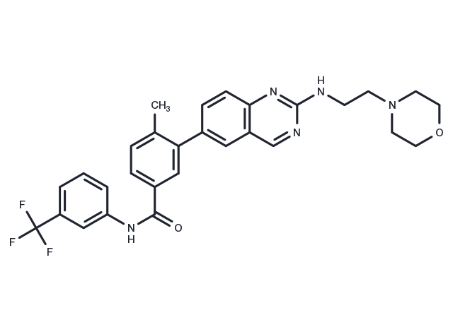 TargetMol Chemical Structure AMG-47a