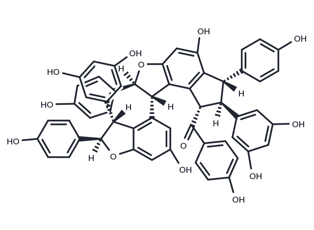 TargetMol Chemical Structure Caraganaphenol A