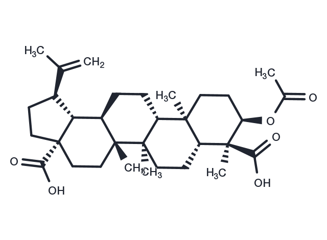 3alpha-Acetoxy-20(29)-lupene-23,28-dioic acid Chemical Structure