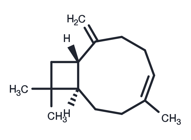 TargetMol Chemical Structure β-Caryophyllene