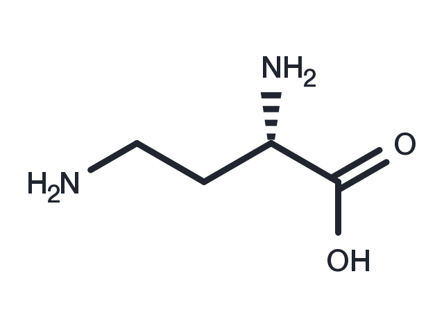 TargetMol Chemical Structure L-DABA