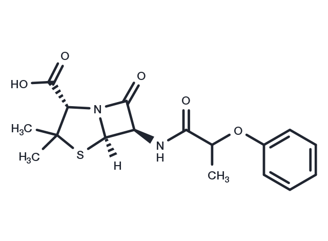 TargetMol Chemical Structure Pheneticillin