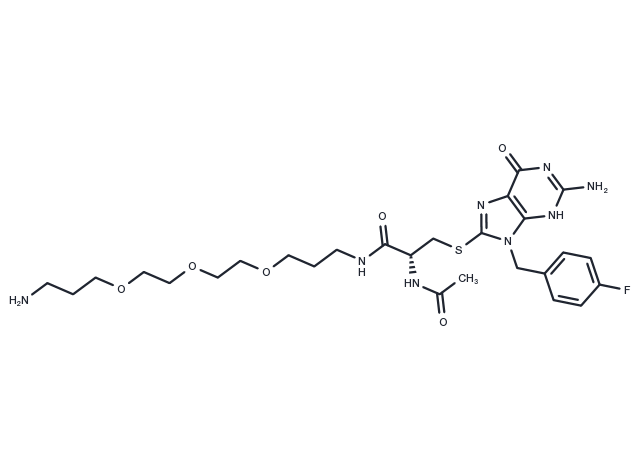 TargetMol Chemical Structure FBnG-(Cys-acetamide)-CH2-PEG3-CH2-CH2-CH2-NH2