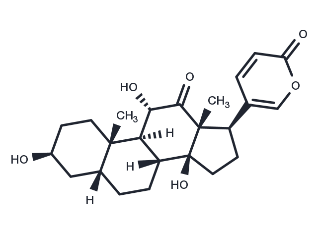 Arenobufagin Chemical Structure