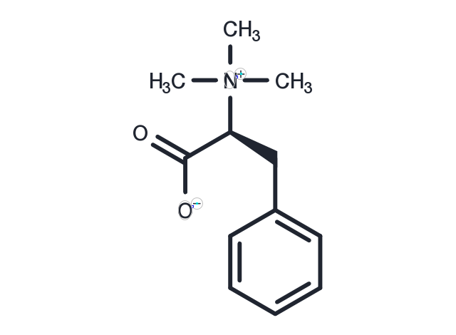 TargetMol Chemical Structure Phenylalanine betaine