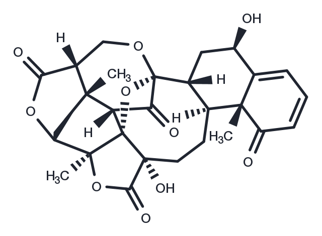 TargetMol Chemical Structure Physalin G