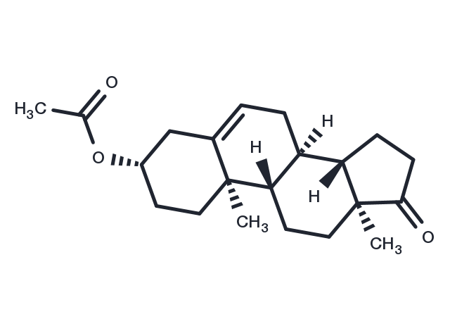 Dehydroisoandrosterone 3-acetate Chemical Structure
