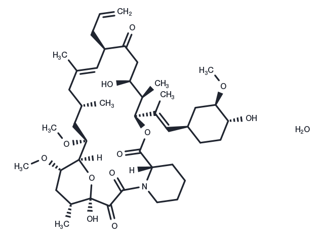 TargetMol Chemical Structure Tacrolimus monohydrate