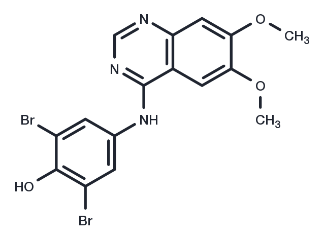 TargetMol Chemical Structure WHI-P97