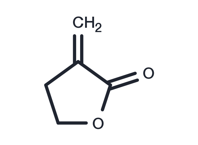 TargetMol Chemical Structure Tulipalin A