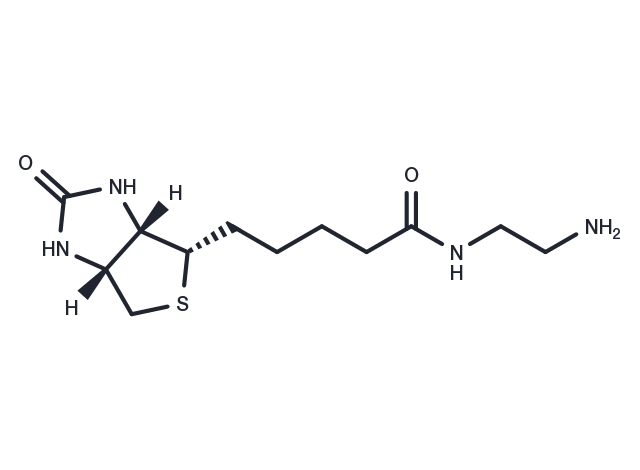 TargetMol Chemical Structure Biotin-EDA