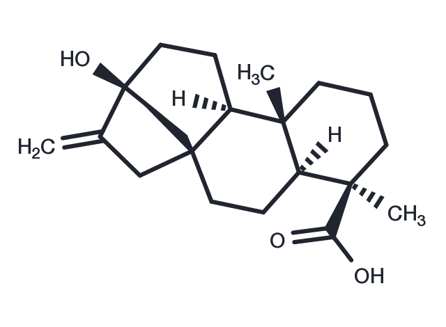 Steviol Chemical Structure
