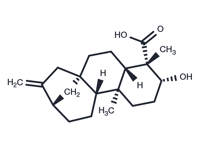 TargetMol Chemical Structure ent-3beta-Hydroxykaur-16-en-19-oic acid