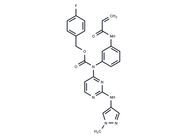 TargetMol Chemical Structure EGFR-IN-99