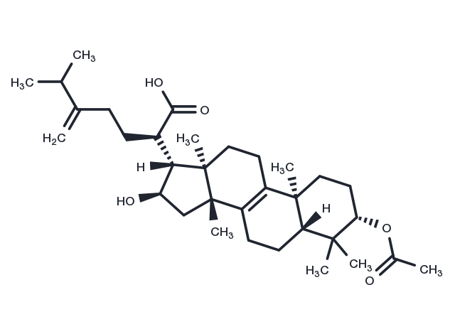 TargetMol Chemical Structure Pachymic acid