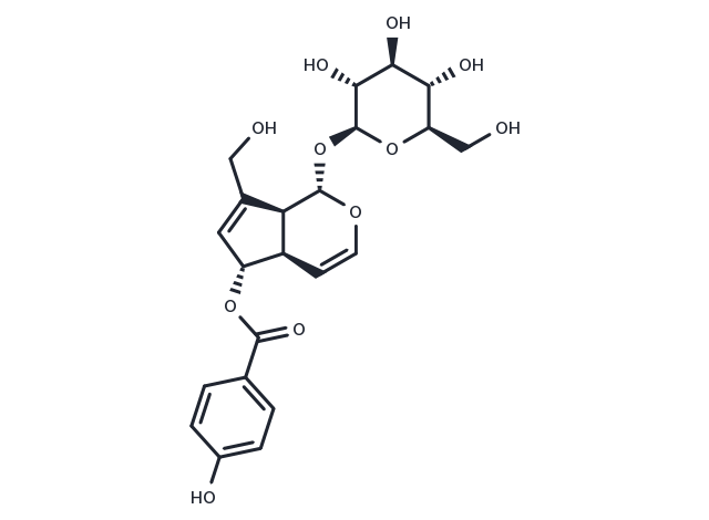 TargetMol Chemical Structure 6-O-p-Hydroxybenzoylaucubin