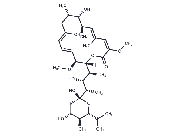 TargetMol Chemical Structure Bafilomycin A1