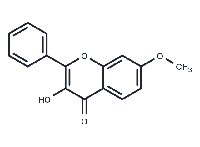 TargetMol Chemical Structure 7-Methoxyflavonol
