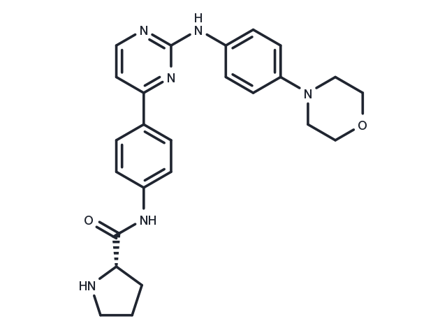 TargetMol Chemical Structure XL019