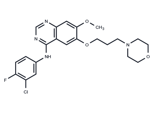 TargetMol Chemical Structure Gefitinib