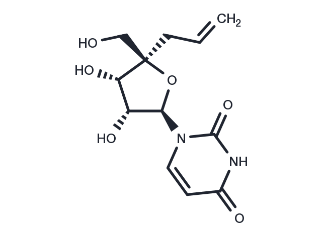 4’-alpha-C-Allyl uridine Chemical Structure