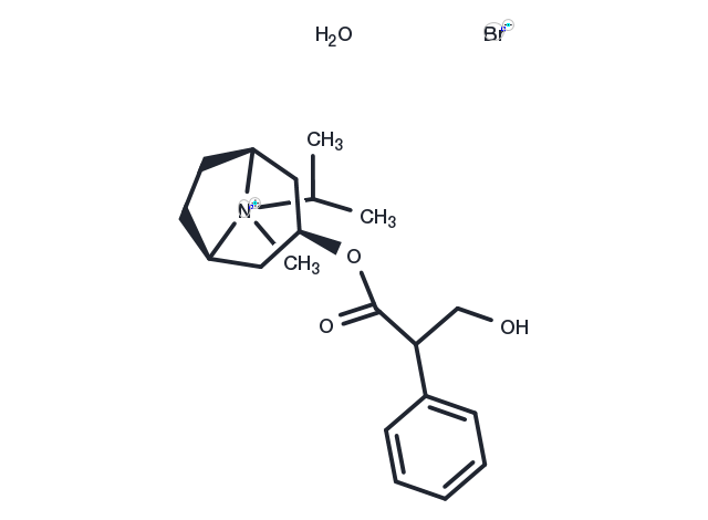 TargetMol Chemical Structure Ipratropium bromide monohydrate