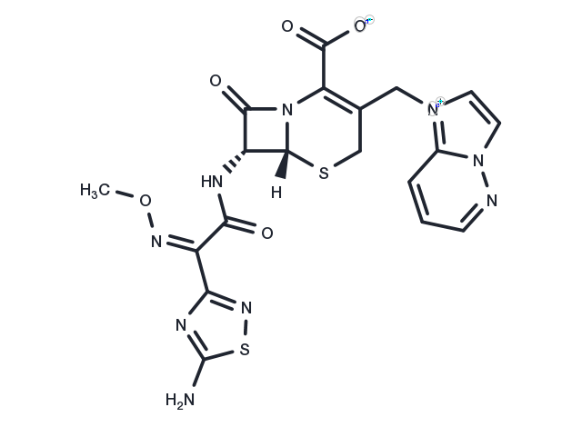 TargetMol Chemical Structure Cefozopran