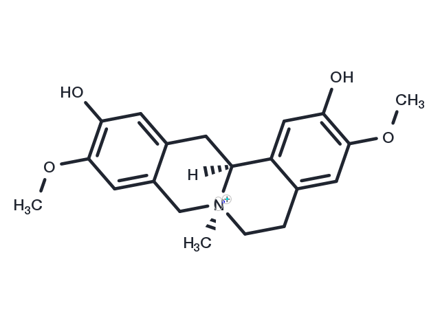 TargetMol Chemical Structure Phellodendrine