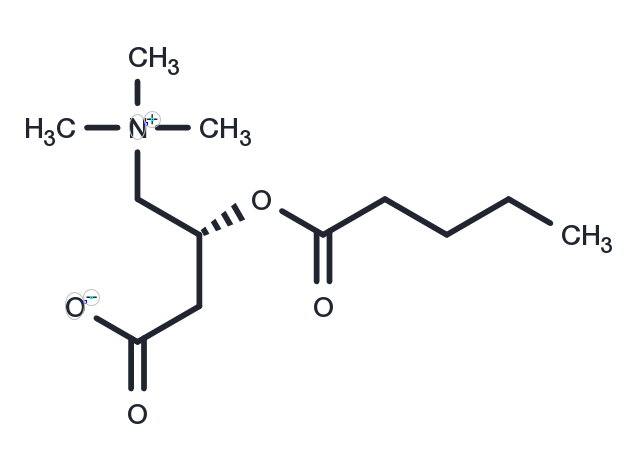 TargetMol Chemical Structure Valerylcarnitine