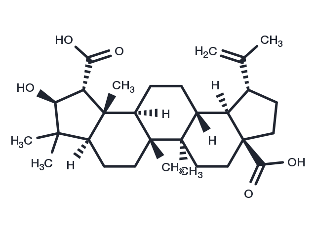Ceanothic acid Chemical Structure