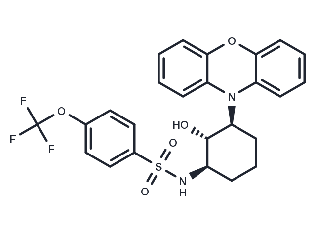 TargetMol Chemical Structure DT-061