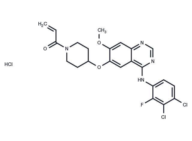 TargetMol Chemical Structure Poziotinib hydrochloride