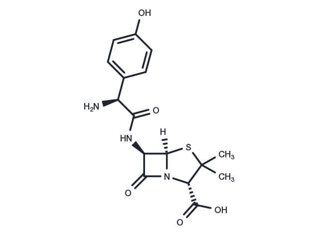 Amoxicillin, L- Chemical Structure
