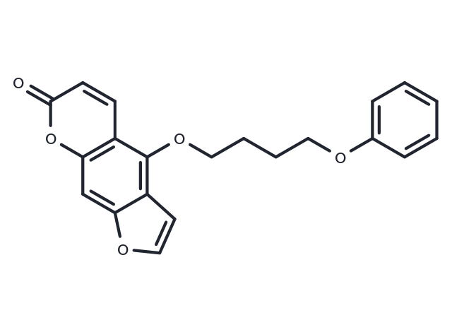 TargetMol Chemical Structure PAP-1