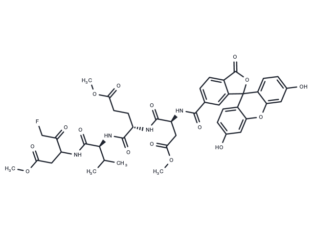 TargetMol Chemical Structure Fluorescein-6-carbonyl-Asp(OMe)-Glu(OMe)-Val-DL-Asp(OMe)-fluoromethylketone