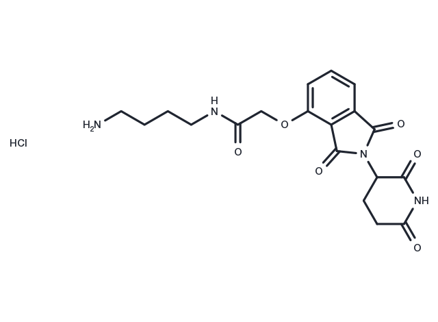 Thalidomide-O-amido-C4-NH2 hydrochloride Chemical Structure