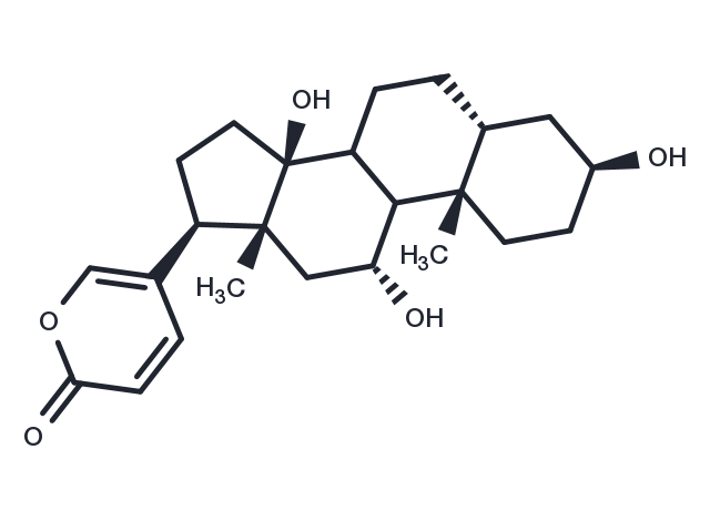 Gamabufotalin (Gamabufagin; Gamabufogenin) Chemical Structure