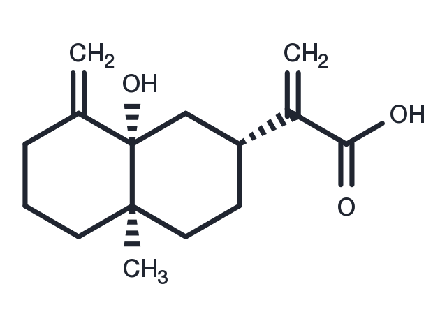 TargetMol Chemical Structure 5α-Hydroxycostic acid