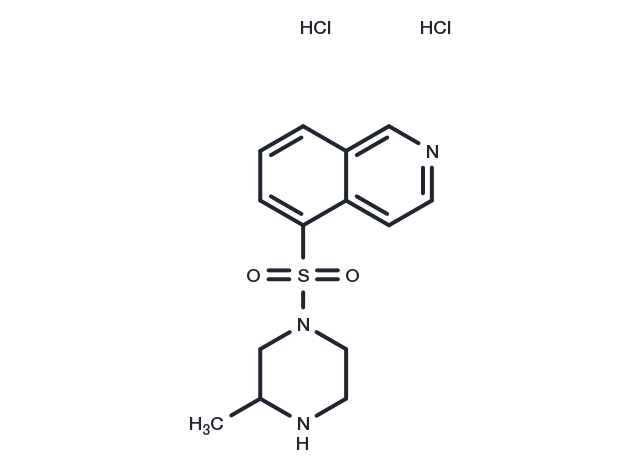 TargetMol Chemical Structure Iso-H7 dihydrochloride