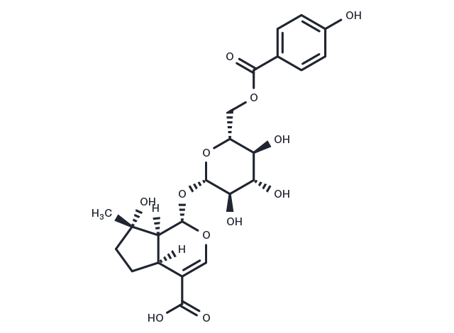 6'-(p-Hydroxybenzoyl)mussaenosidic acid Chemical Structure