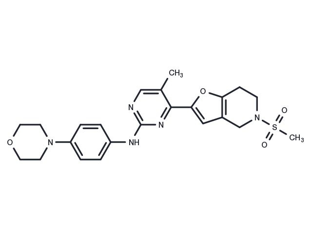 TargetMol Chemical Structure JAK2-IN-4