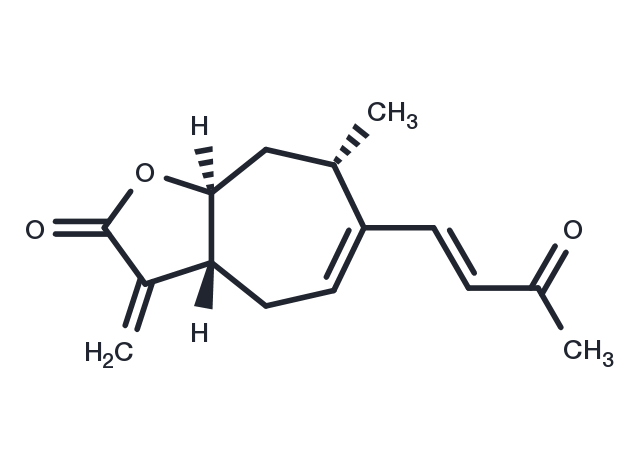 TargetMol Chemical Structure Xanthatin