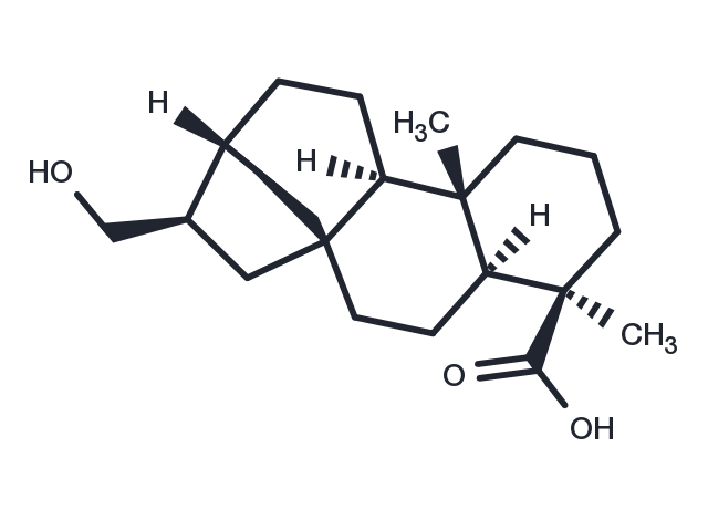 TargetMol Chemical Structure Siegeskaurolic acid